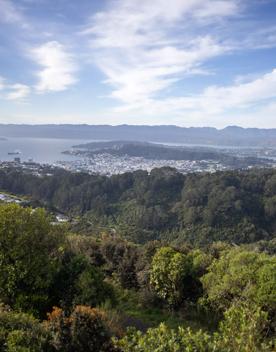 The Wrights Hill Fortress screen location, located in Karori overlooking Wellington from an old gun emplacement. The location includes historic monuments, underground landmarks, and tunnels.