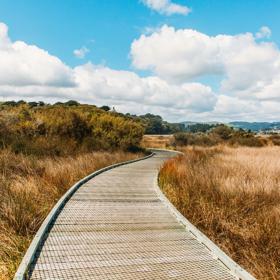 Wooden boardwalk curving through tussocks next to Pauatahanui inlet. Blue sky.