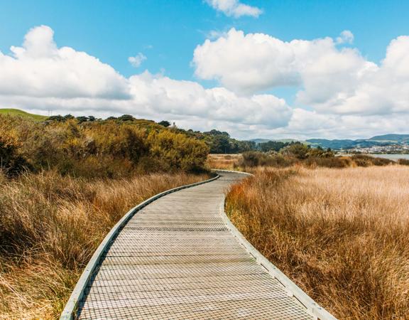 Wooden boardwalk curving through tussocks next to Pāuatahanui inlet. Blue sky.