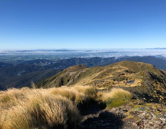 The view from the ridgeline on the Mount Holdsworth Jumbo Circuit in the Tararua Range.