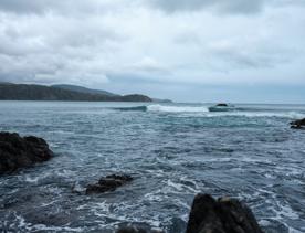 This clothing-optional beach is a good spot for scenic walks and wildlife spotting. At the western entrance of Wellington Harbour, picturesque Breaker Bay beach is part of the Oruaiti Reserve.