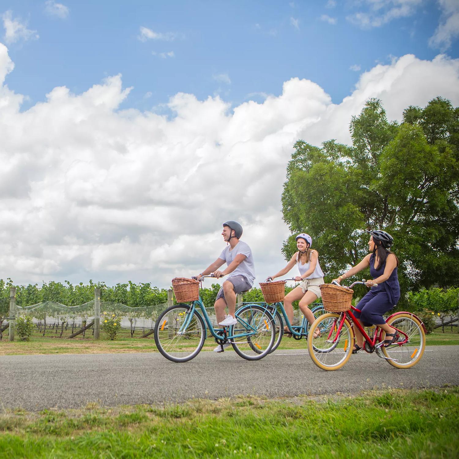 Three people cycle through a vineyard on a sunny day.