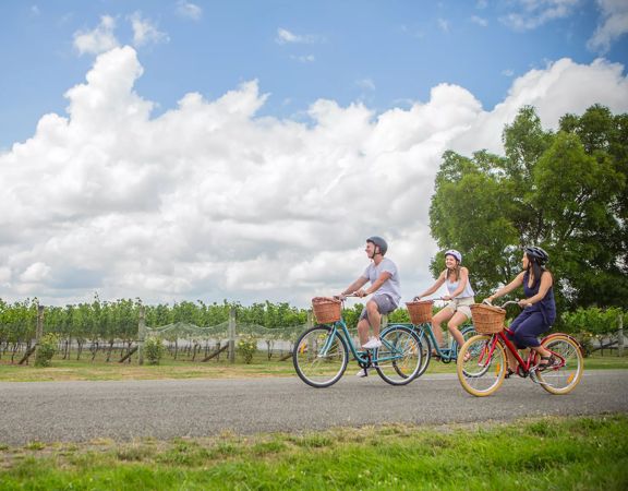 Three people cycle through a vineyard on a sunny day.