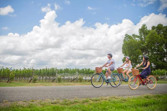 Three people cycle through a vineyard on a sunny day.
