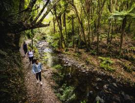 3 people walking alongside a stream on the Belmont Trig Track, a biking and walking trail in Lower Hutt.