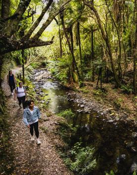 3 people walking alongside a stream on the Belmont Trig Track, a biking and walking trail in Lower Hutt.