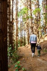 Parent and toddler walk through wooden forest track.