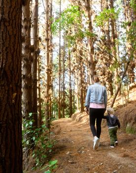 Parent and toddler walk through wooden forest track.