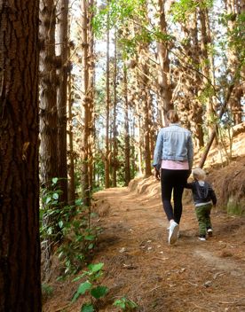 Parent and toddler walk through wooden forest track.