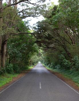 Ōtaki Gorge Road runs parallel to Ōtaki River in the Kāpiti Coast District of New Zealand’s North Island.