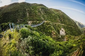 Cyclists going along the Siberia Gulley Bridge on the Remutaka Cycle Trail.