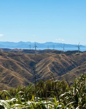 A scenic view from the Mākara Peak Mountain Bike Park toward the South Island with twelve wind turbines standing along a mountain range and blue skies above.