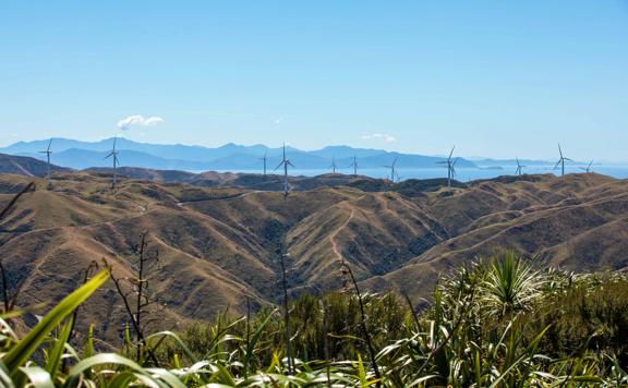 A scenic view from the Makara Peak Mountain Bike Park with twelve wind turbines standing a long a mountain range and blue skies above.