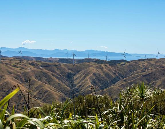 A scenic view from the Makara Peak Mountain Bike Park with twelve wind turbines standing a long a mountain range and blue skies above.