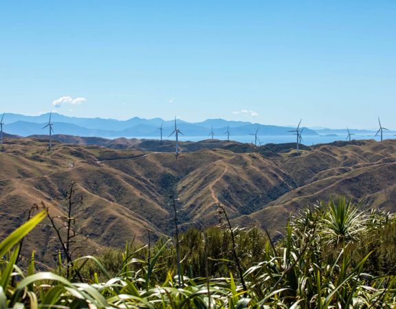A scenic view from the Mākara Peak Mountain Bike Park toward the South Island with twelve wind turbines standing along a mountain range and blue skies above.