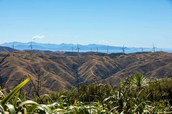 A scenic view from the Mākara Peak Mountain Bike Park toward the South Island with twelve wind turbines standing along a mountain range and blue skies above.