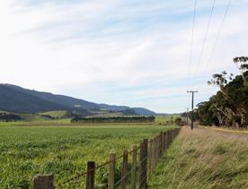 The rural Western Lake road, which connects the Remutaka Range to Lake Wairarapa, features lush green fields and mountains.