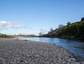 The Taitā Rock swimming hole in Lower Hutt, with lush green bush surrounding a blue river and large pebbles on the shore.