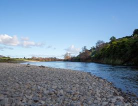 The Taitā Rock swimming hole in Lower Hutt, with lush green bush surrounding a blue river and large pebbles on the shore.