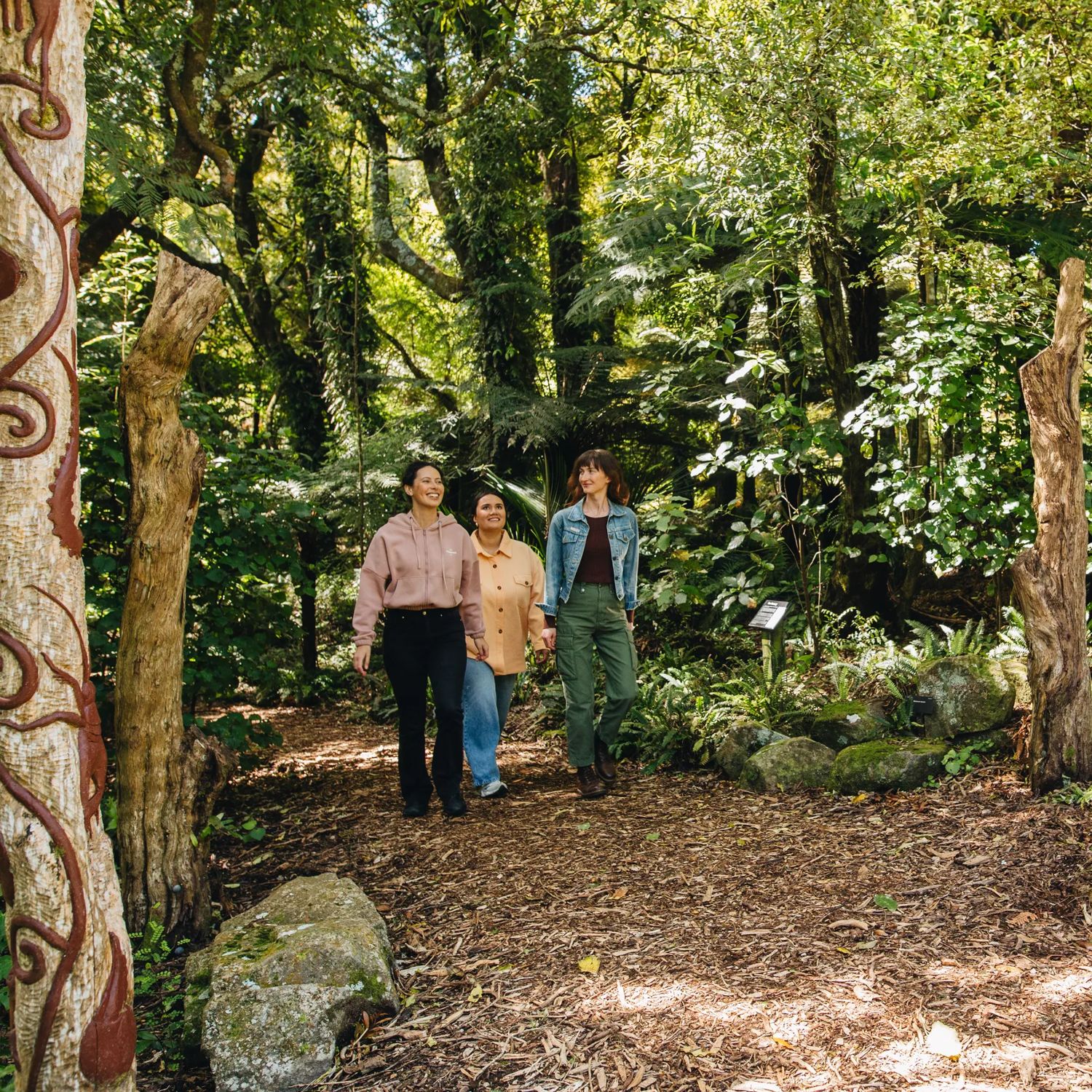 Three friends walk along a forest trail at Ōtari-Wilton's Bush.