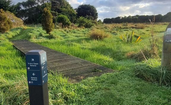 Mixed grass and boardwalk trail surface.
