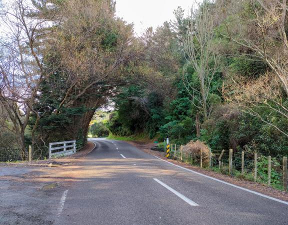 Ohariu Valley Road in Wellington travels through a slice of quintessential Kiwi countryside.