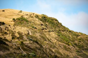 Stairs up a hill on the escarpment track.