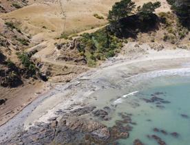 A secluded, sheltered beach located on private farmland. Pikarere Beach is a hidden inlet off Open Bay, just 5 kilometres from Porirua’s city centre.