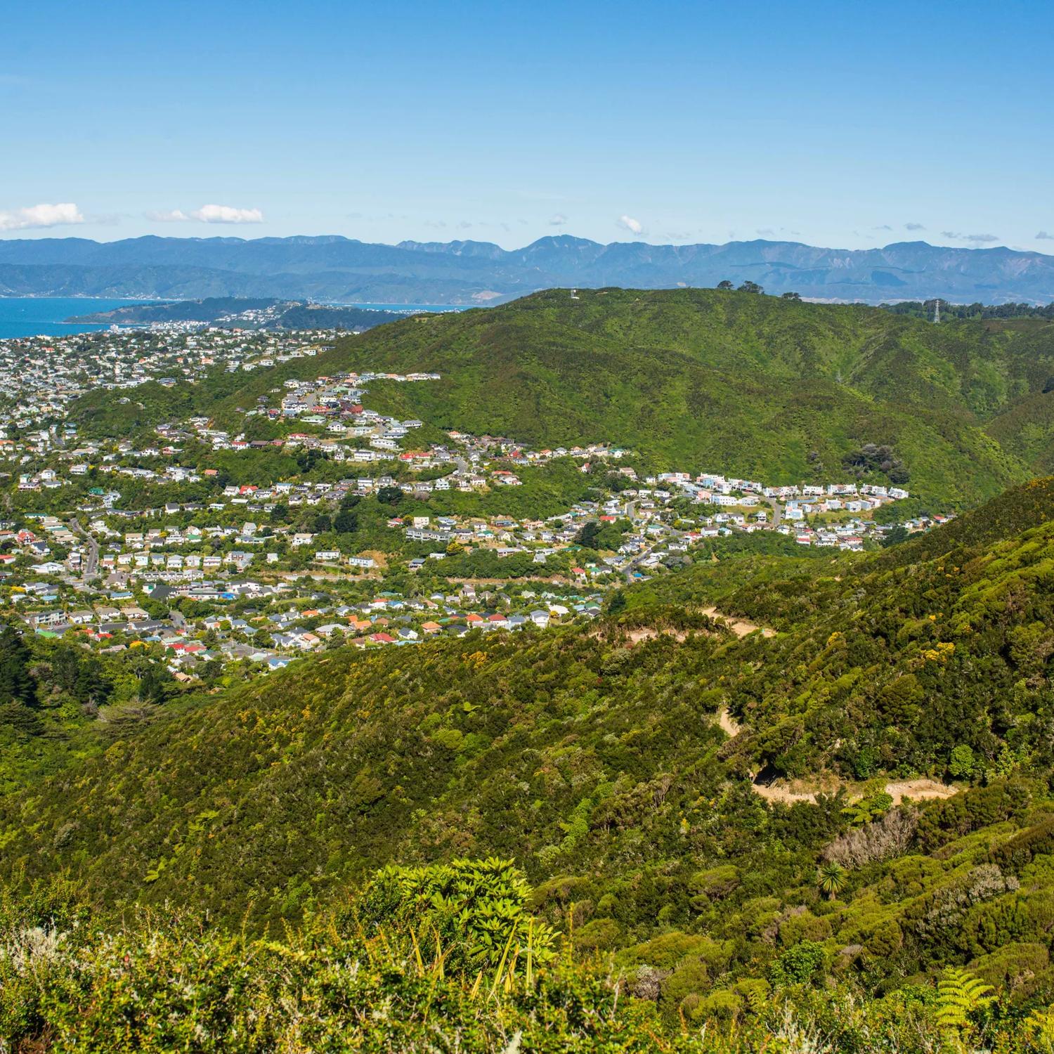 Karori mountain hot sale bike park