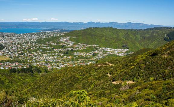 Looking over Karori from Mākara Peak Mountain Bike Park, with the Wellington harbour in the distance.