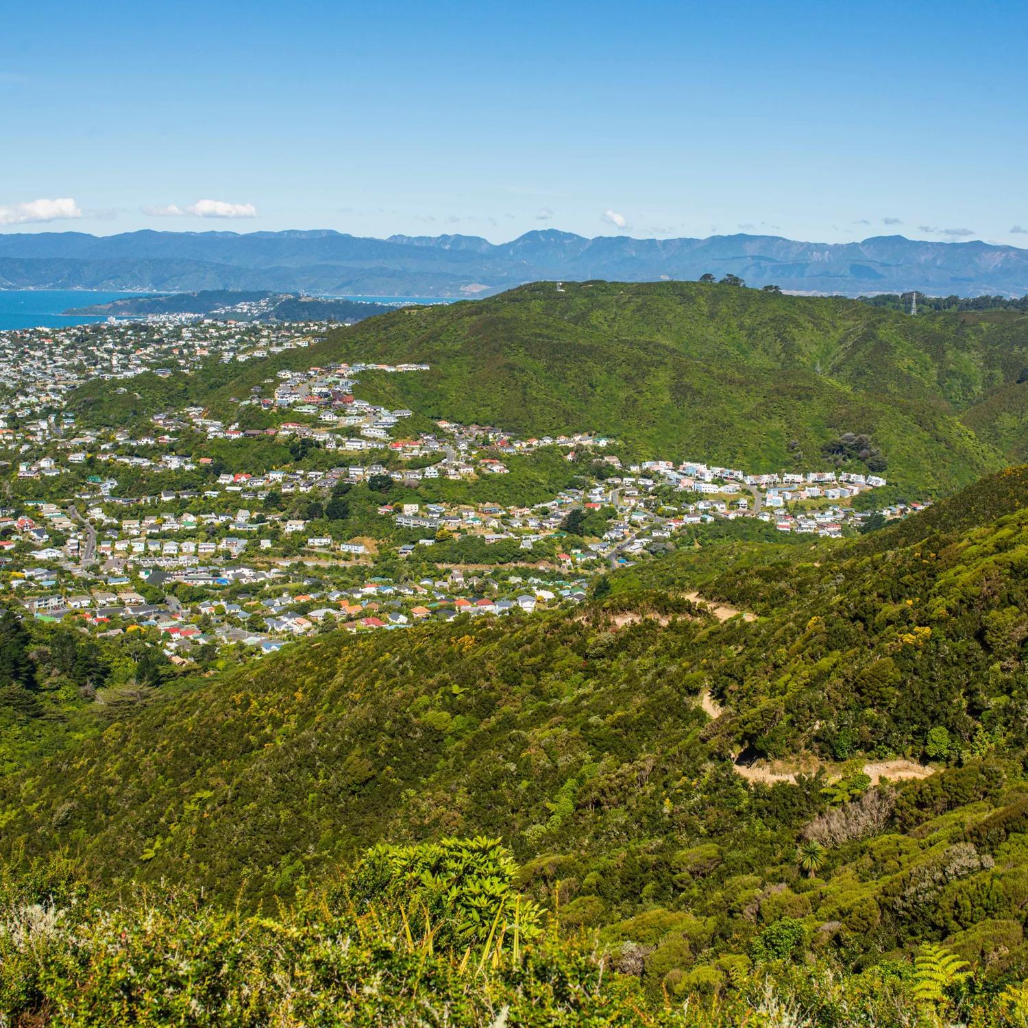Looking over Karori from Mākara Peak Mountain Bike Park, with the Wellington harbour in the distance.