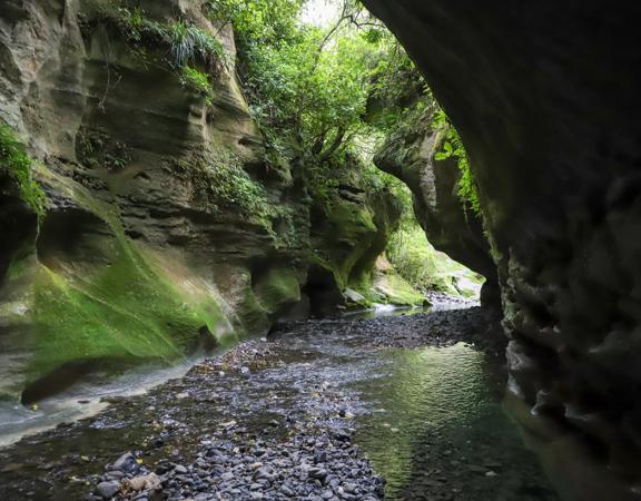 Patuna Chasm, a cave system in a gorge of a river cutting through limestone cliff.