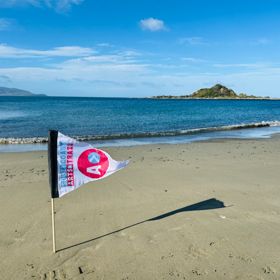 A flag planted in the sand on a quiet beach overlooks the ocean, with a small island visible offshore under a blue sky.