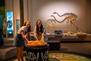 Two people stand in the middle of a bird themed exhibition in Te Papa Museum in Wellington with bird skeletons visible in the background.