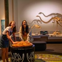 Two people stand in the middle of a bird themed exhibition in Te Papa Museum in Wellington with bird skeletons visible in the background.