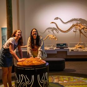 Two people stand in the middle of a bird themed exhibition in Te Papa Museum in Wellington with bird skeletons visible in the background.