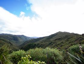 The screen location of Remutaka Summit, wit views of surrounding peaks, lush green bush and steep roads cut into the sides of the mountains.