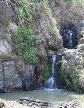 A secluded, sheltered beach located on private farmland. Pikarere Beach is a hidden inlet off Open Bay, just 5 kilometres from Porirua’s city centre.