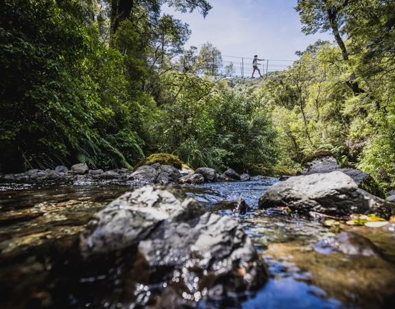 A person walking along a swing bridge on the Atiwhakatu track in Tararua Forest Park.