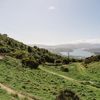 A section of the Chimney Sweep trail in Ngā Ara o Rangituhi. For mountain bikers only, the dirt track winds down a grassy hill overlooking Porirua.