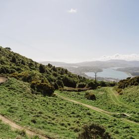 A section of the Chimney Sweep trail in Ngā Ara o Rangituhi. For mountain bikers only, the dirt track winds down a grassy hill overlooking Porirua.