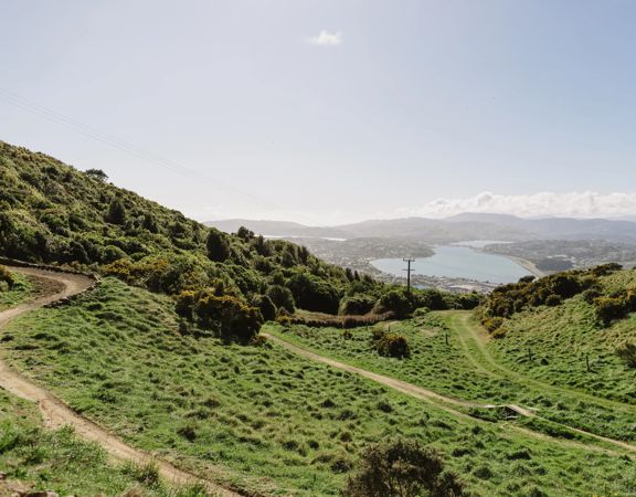 A section of the Chimney Sweep trail in Ngā Ara o Rangituhi. For mountain bikers only, the dirt track winds down a grassy hill overlooking Porirua.