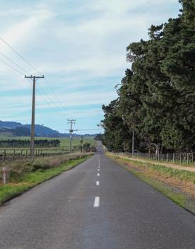 The rural Western Lake road, which connects the Remutaka Range to Lake Wairarapa, features lush green fields and mountains.