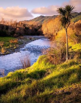 The Waikanae River at golden hour.