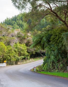 The screen location of Waitohu Valley Ōtaki, features native and exotic forests, pastoral lands, and wetlands.
