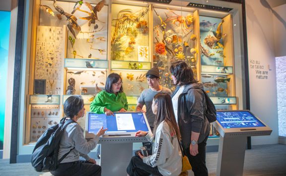 Visitors explore interactive exhibits at Te Papa’s Te Taiao Nature exhibition.