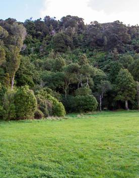 The screen locations of Catchpool Valley, with the river, lush bush,  forest, and grassland.