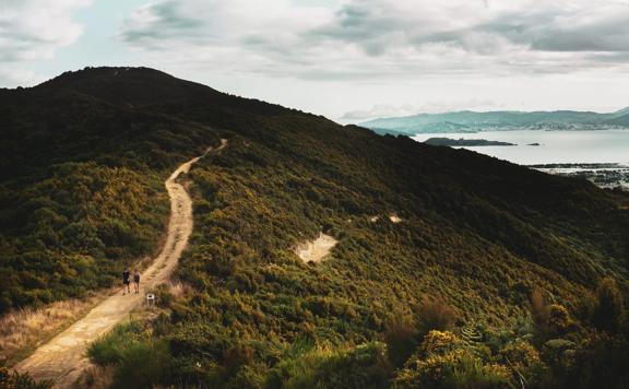 The Te Whiti Riser, a trail overlooking Wainuiomata and Lower Hutt. The sky is overcast, the terrain is deep green and two people are walking along a gravel path.