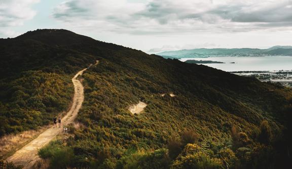 The Te Whiti Riser, a trail overlooking Wainuiomata and Lower Hutt. The sky is overcast, the terrain is deep green and two people are walking along a gravel path.