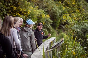 People enjoying a Zealandia twilight tour, surrounded by bush and led by a tour guide.